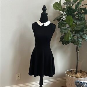 Love...ady Black Fit and Flare Mini Dress with Peter Pan Collar